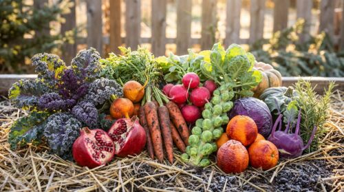 tipy na 12 ovoce a zeleniny, které byste si v lednu měli zasadit, abyste na jaře mohli sklízet čerstvou a chutnou úrodu.